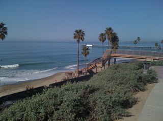 kutstrut's profile picture. 