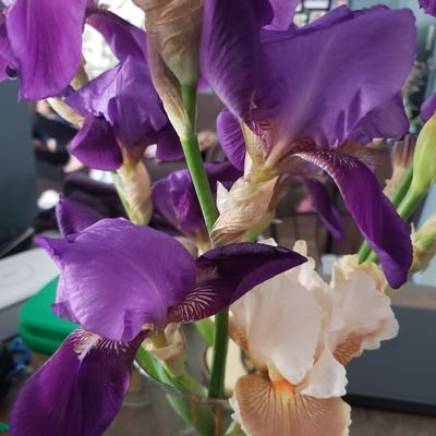 mrspowers5's profile picture. ASD-N teacher in a high school art classroom! Interested in Visual Arts, #edtech, and enriching student lives. Runner, mom of 4, wearer of high heels.(she/her)