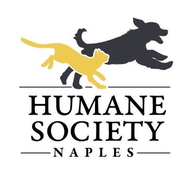 Collier County's premier no-kill shelter with two adoption centers and full-service vet clinic. 📞 239-643-1555 #hsnaples