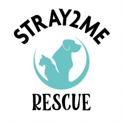 Stray2Me are a small UK charity, helping lovely rescuers save the lives of dogs & cats in Bucharest, Constanta, Craiova & Tulcea in Romania 🐾   #adoptdontshop