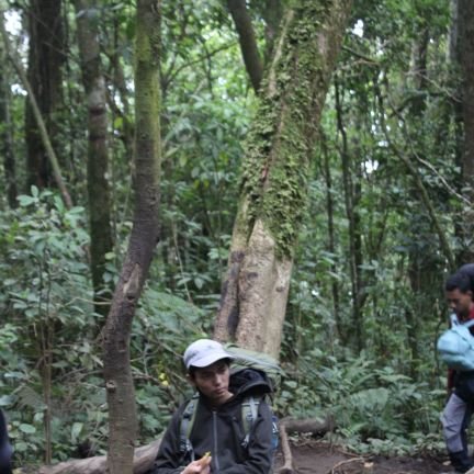 zankatra's profile picture. sekedar omong kosong