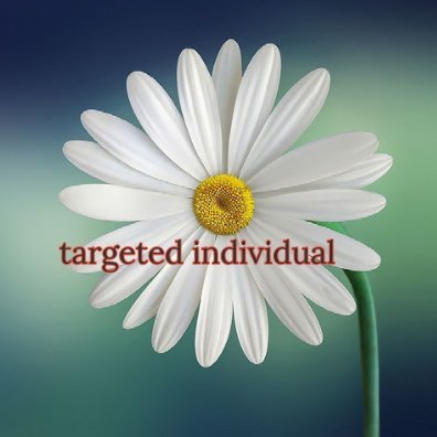 Targeted Individual awakened 2014.