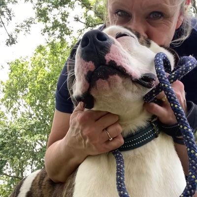 CarleePerez's profile picture. 