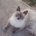 Tracey troy - @Tracey_troy - Twitter