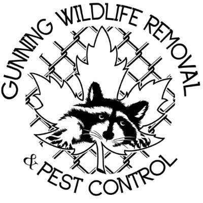 Affordable solutions pest control and humane wildlife removal from your home and property