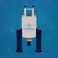 YBMRS (@ybmrs_symposium) 's Twitter Profile