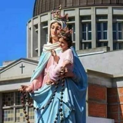 lagartofleitaok's profile image
