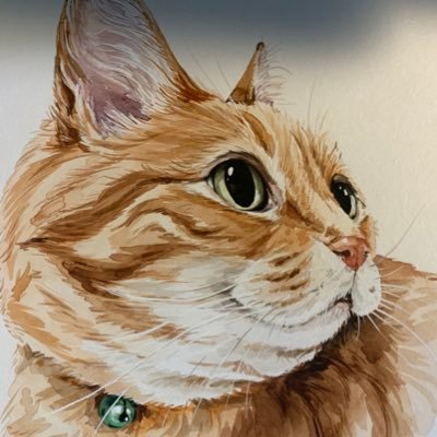 orangbabbey's profile picture. m 14 yers old orang tabbi;,, leve me aloen