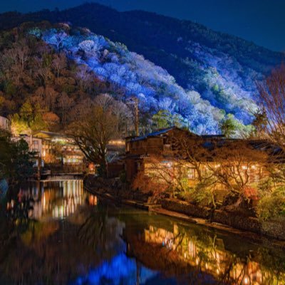 wsxe99999's profile picture. 