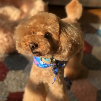 mocoand_'s profile picture. 