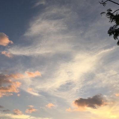 naseri86's profile picture. existing