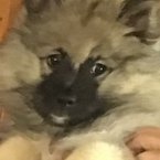 PSIFRXさんのプロフィール画像