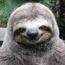 The Slothさんのプロフィール画像