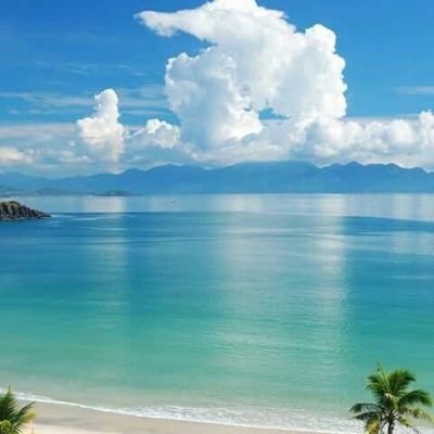 CARLA57859165's profile picture. Excelente