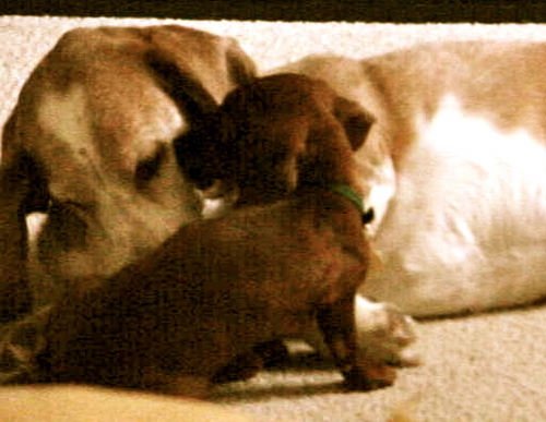 pam75pam's profile picture. 