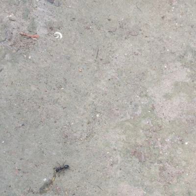 jim284389's profile picture. 