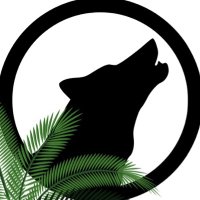 WOLFDENDC (@wolfdendc) 's Twitter Profile
