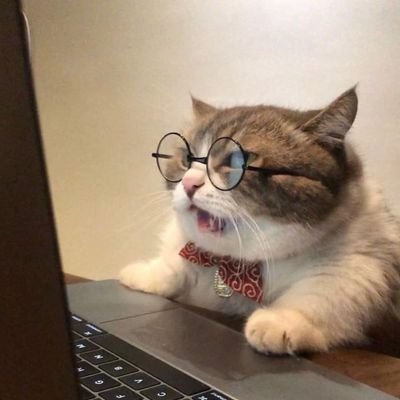 LuisArr86306455's profile picture. Todo chiquito, todo triste :(