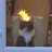 CDinsorphun's profile image