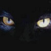 Bitterdev (@bitterdevotee) 's Twitter Profile