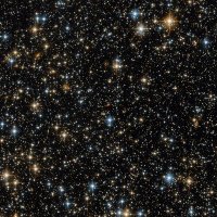 Gualichx (@gualichx) 's Twitter Profile