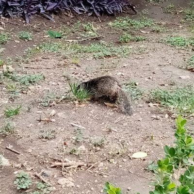 darko697's profile picture. una ves que me conoses no soy tan malo