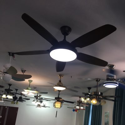 Main products：ceiling fans ，led strip light，outdoor light.E-mail：shengxilighting@outlook.com