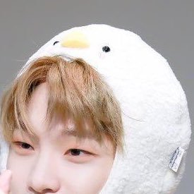 chanwrId's profile picture. she/her ...♡ dino & dk enthusiast !