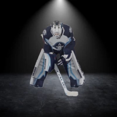 NHL 21 Goalie