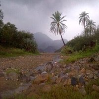 أبو عمر (@mmod29) Twitter profile photo