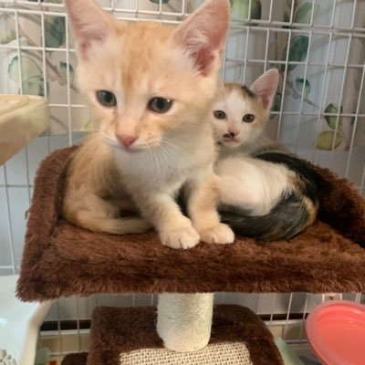 kbSDXcRYTkakcDc's profile picture. 