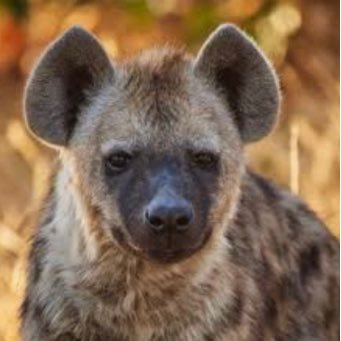 Jaden73729478's profile picture. Gamer