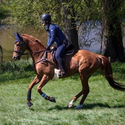 Karen Bolwell Profile