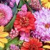 @wMQBXp4uCnbr3jo