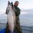 akgillnet's profile image