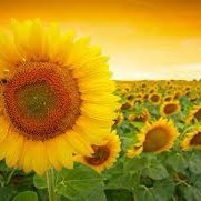 QoutesZach's profile picture. Live life and stay strong 💯💪🏼