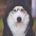 Taidh (@taidh_) Twitter profile photo Taidh (@taidh_) Twitter profile photo