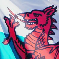 Dyfodol Cyfansoddiadol | Constitutional Futures (@futures_dyfodol) 's Twitter Profile