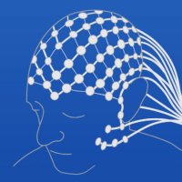 neurochallenged (@neurochallenged) 's Twitter Profile