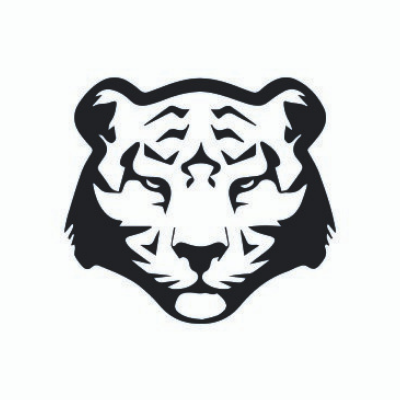 Black Tiger Belgium help companies achieve their business and operational goals by using their customers' personal data in full compliance with the GDPR