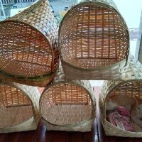 บ้านแมวสานมือฝีมือตายายสานงานภูมิปัญญาชาวบ้าน🐱 (@condocatld) 's Twitter Profile Photo บ้านแมวสานมือฝีมือตายายสานงานภูมิปัญญาชาวบ้าน🐱 (@condocatld) 's Twitter Profile Photo