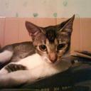 alvaro vasquez - @alvarovasquez1 - Twitter