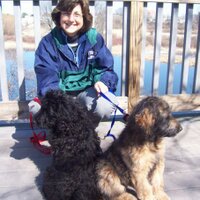 Susan Chadwick - @concretewoman Twitter Profile Photo