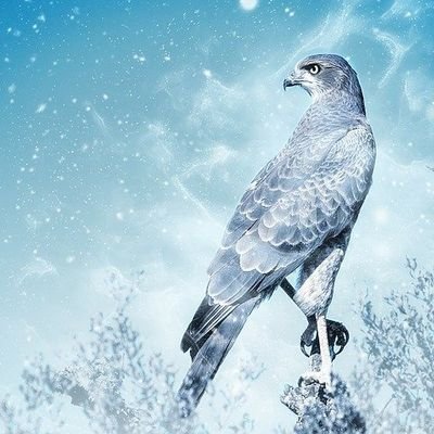 Falcon_Tech77's profile picture. プログラミングに興味があって頑張って勉強中！
学習して自身のスキルアップを目標に！
IT業界ではないですが、最近転職して仕事奮闘中(^_^)v
3児の父でもあり、率先して家事も頑張っています！
趣味ゴルフと漫画を読むことです！
よろしくお願いしますm(__)m