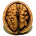 BrainDetector (@detector_brain) Twitter profile photo BrainDetector (@detector_brain) Twitter profile photo