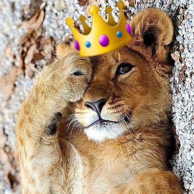 empieza por mostrar amor , para poder desarrollar las demás cualidades❤