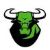 Green Bull (@GreenBull_HC) Twitter profile photo