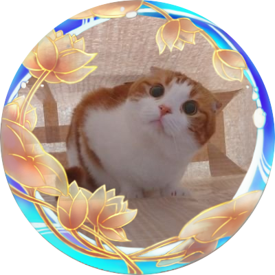 安眠猫 Amimugi K Twitter