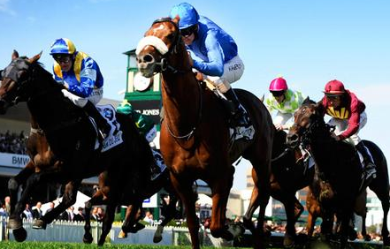 Caulfield_Cup's profile picture. 