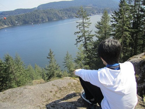 chasonmeng's profile picture. 